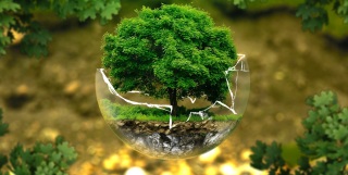 UNEP – United Nations Environment Programme