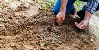 UNCCD – Global Land Outlook 2