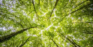 IPBES – Intergovernmental Science-Policy Platform on Biodiversity and Ecosystem Services