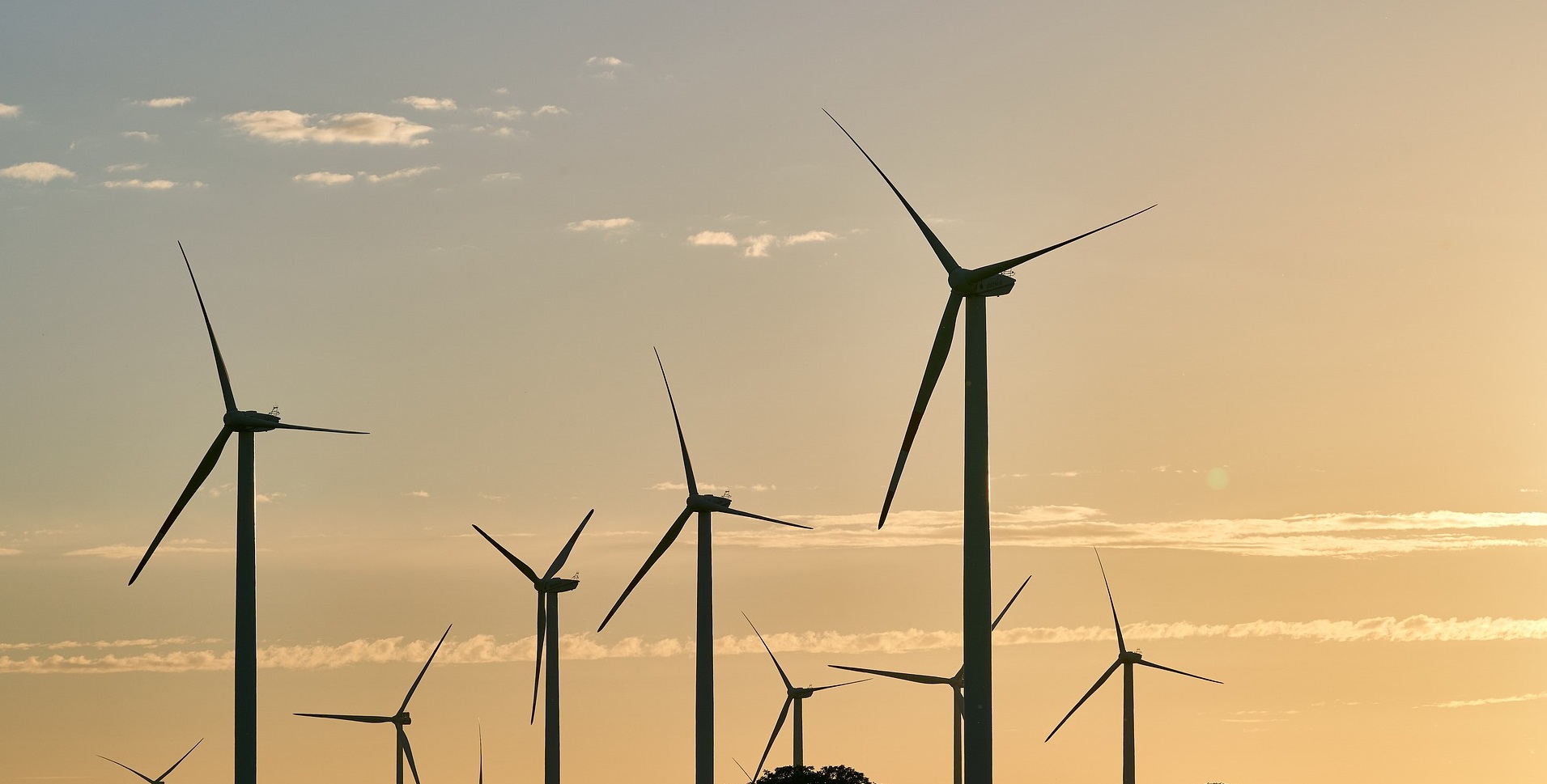 IEA – International Energy Agency